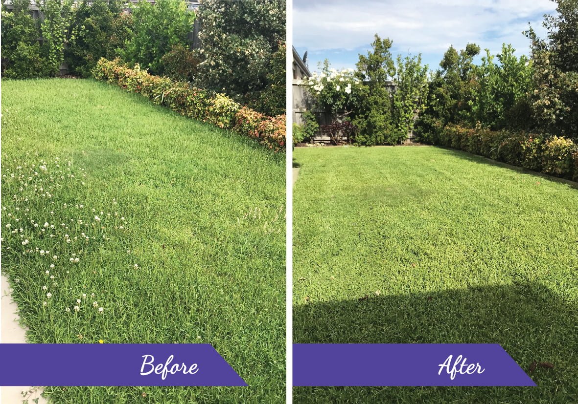 Before and After02 Lawn Mowing PRO CUT LAWNS