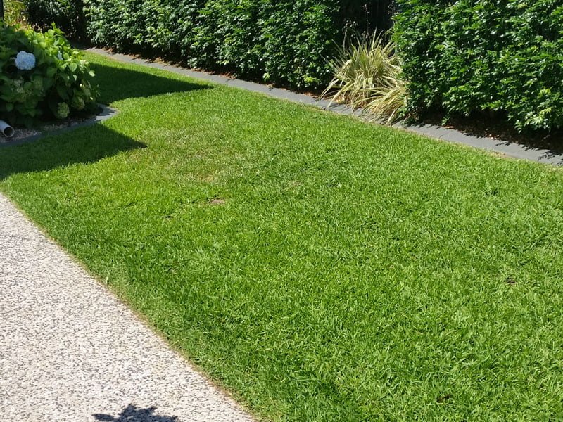 Lawn Mowing and Gardening Joondalup Lawn Mowing PRO CUT LAWNS