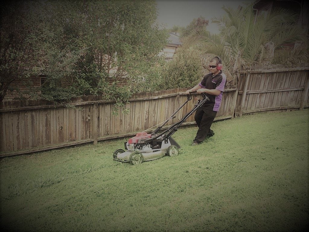 cutting the grass Lawn Mowing PRO CUT LAWNS