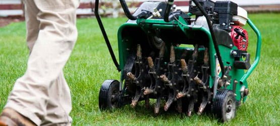 Garden Maintenance Services Lawn Mowing Pro Cut Lawns