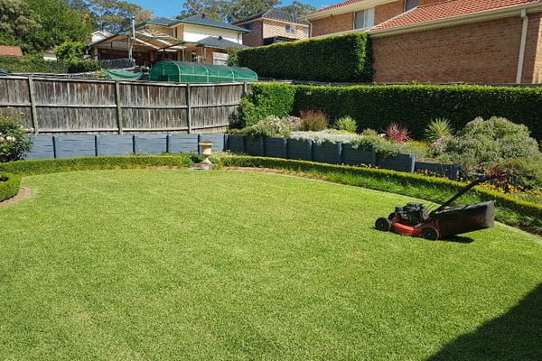 pro cut lawns castle hill