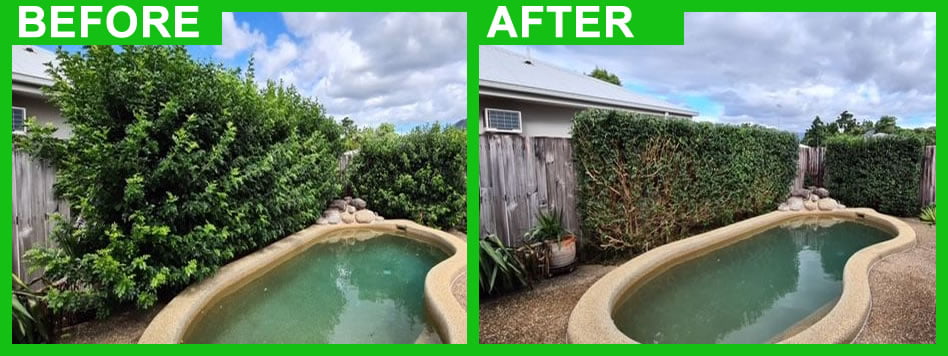 hedge trimming before and after